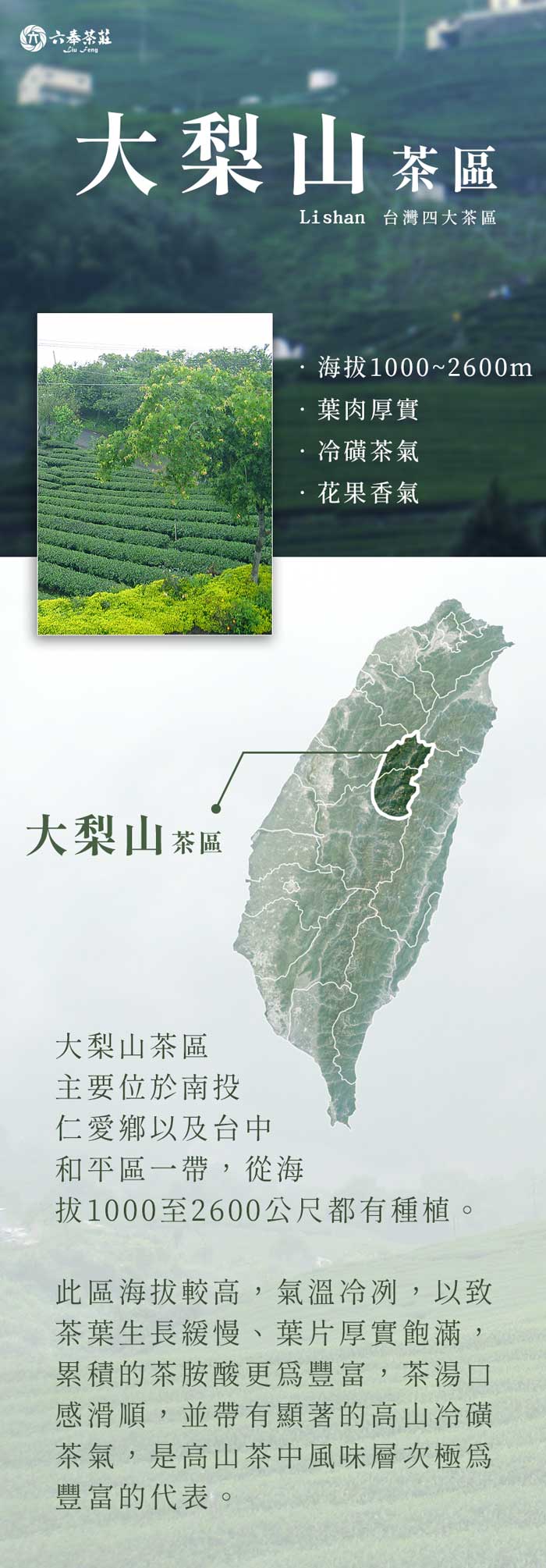 高級台湾茶　梨山華岡茶　75g X 8袋 j66d99_05_01.jpg