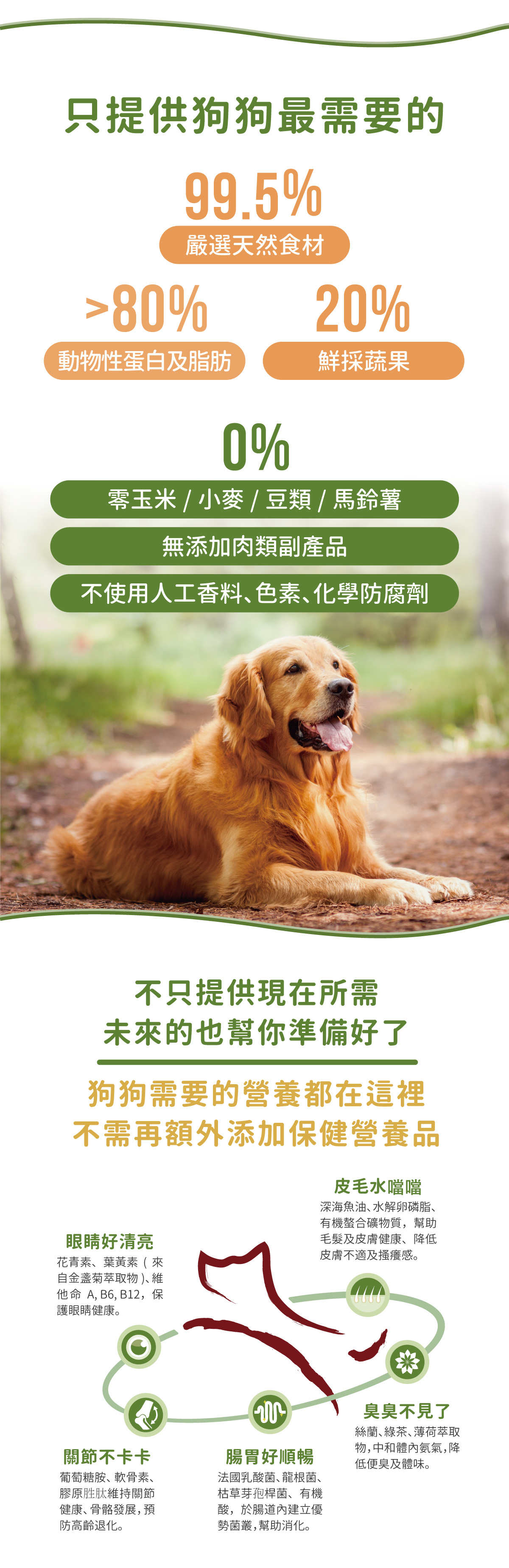 產品介紹 天然平衡犬糧 瑞威天然平衡寵糧 瑞威動物科技