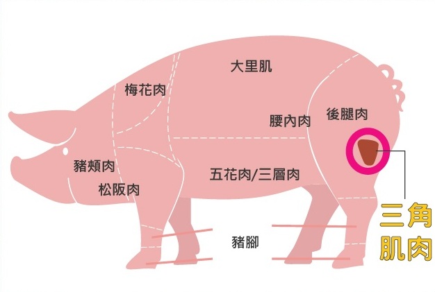 台灣豬肉部位與三角肌熱量對照圖