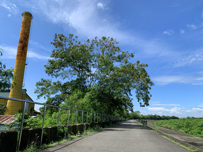 旗山溪畔堤防步道