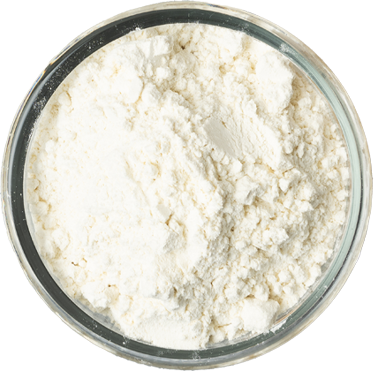 特選高品質麵粉