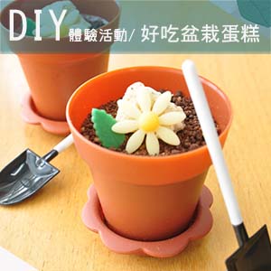 報名DIY 手作盆栽蛋糕課程