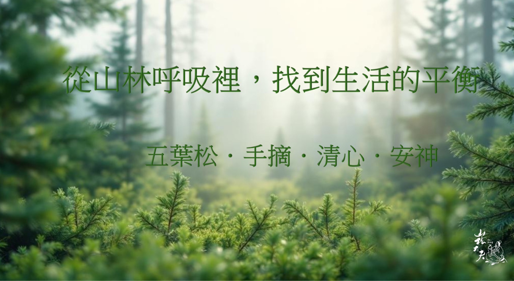 森林呼吸