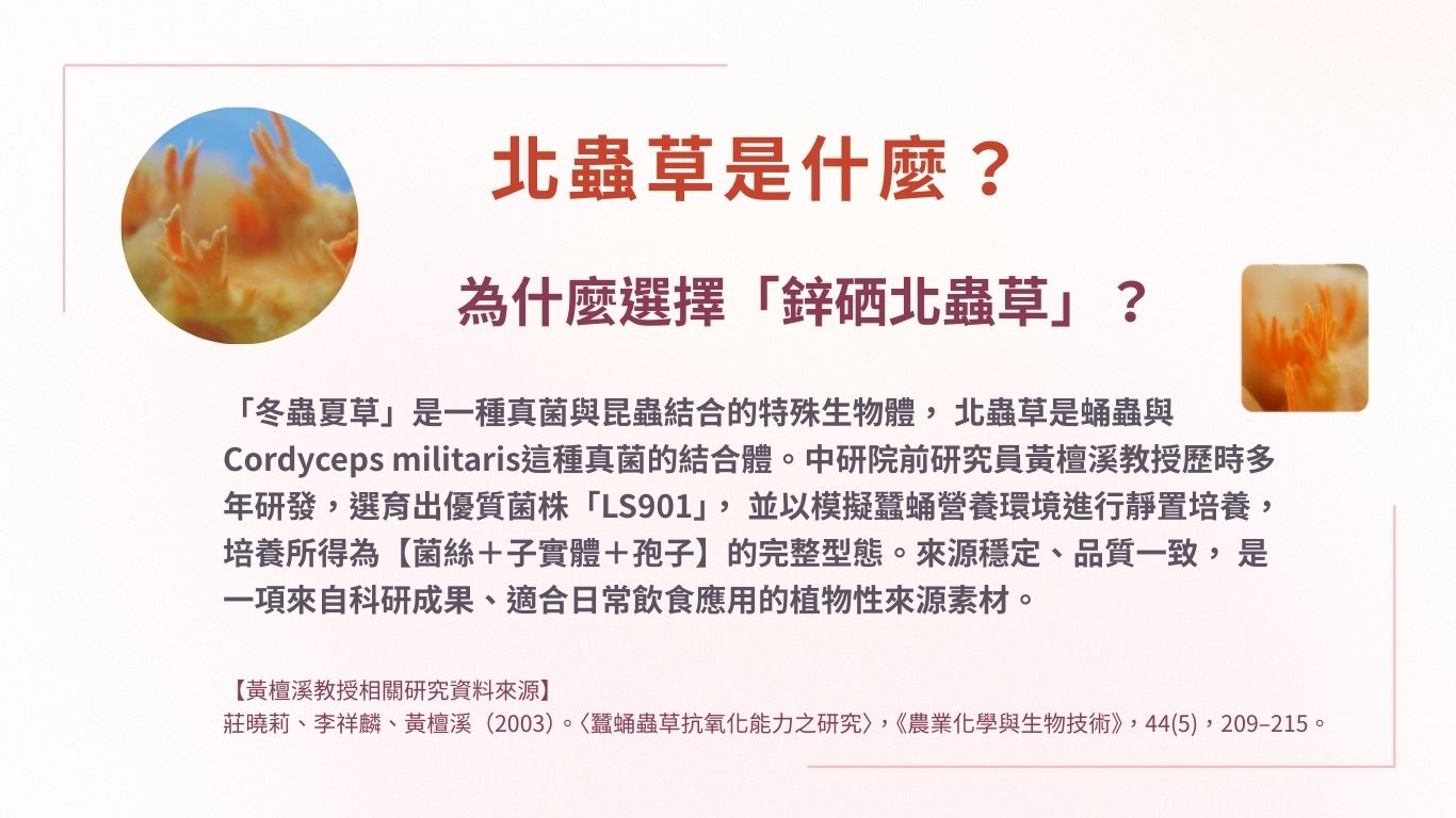 鋅硒北蟲草3