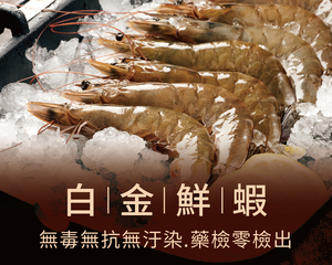 白金鮮蝦