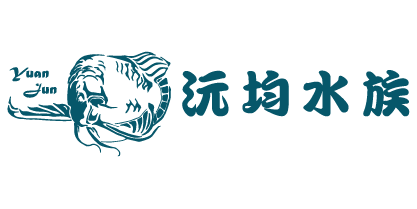 沅均水族|台南歸仁優質觀賞魚水族專家沅均水族