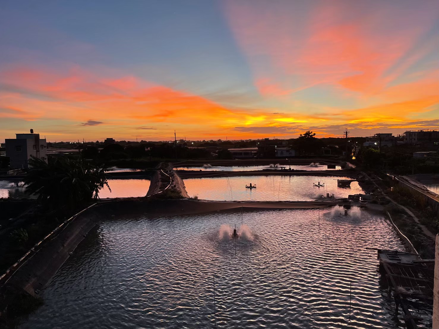 「一份屬於這個世代的彌月禮」