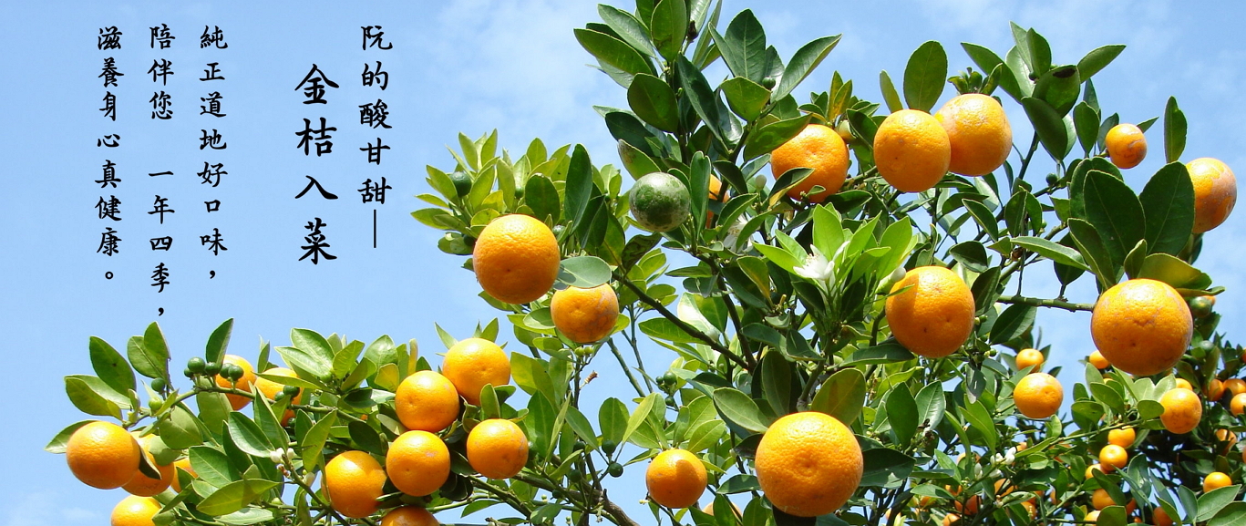 民雄金桔觀光工廠2