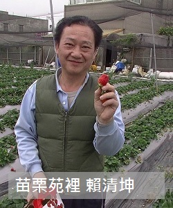 農人－賴清坤