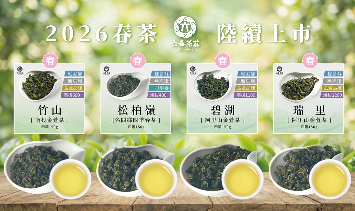 金萱春茶上市pc