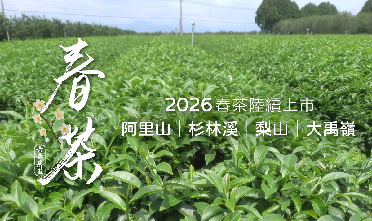 2026 春茶上市pc