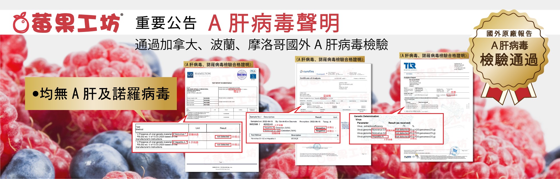 A肝病毒檢測聲明