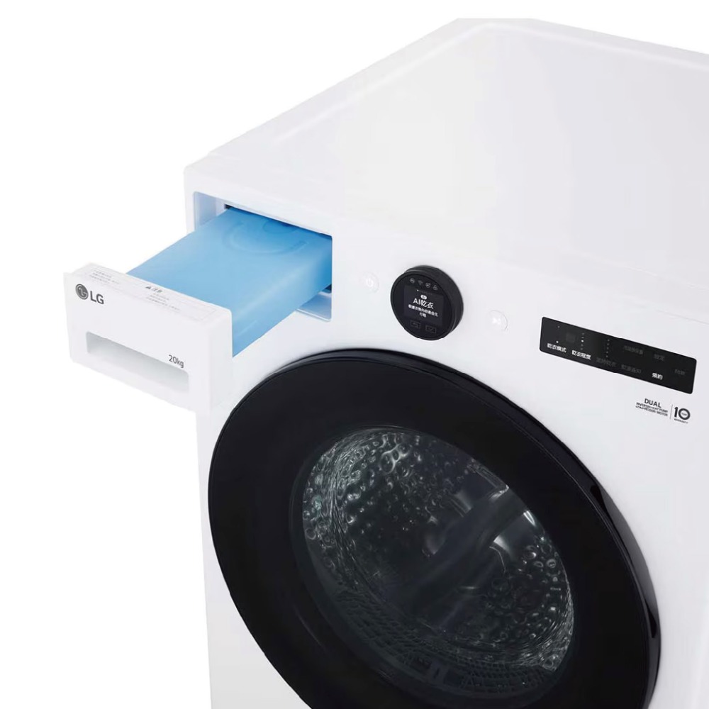 LG 樂金 雙迴轉 變頻 免曬衣 乾衣機 20公斤 (含基本安裝) /台 WR-20DW