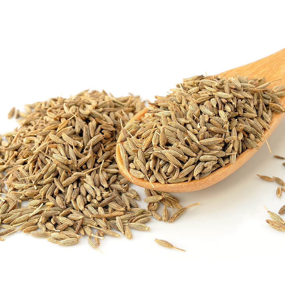 孜然(安息茴香) Cumin