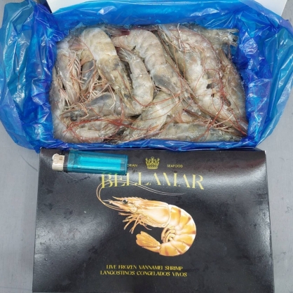 中南美 活凍生白蝦