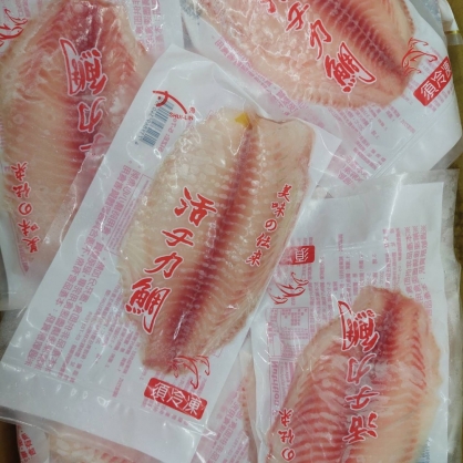 台灣活凍鯛魚片