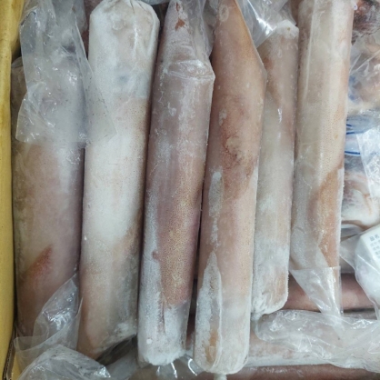 印尼巴里島透抽 (小卷)