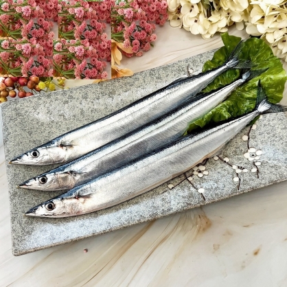 秋刀魚 中秋烤肉 台灣野生捕撈  日本料理必備食材