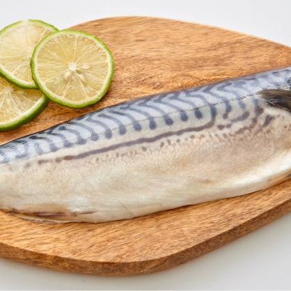 挪威薄鹽鯖魚片 260g