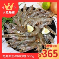 南美洲生凍鮮白蝦 (約20~30尾) 800g