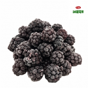 急速冷凍智利黑莓 Blackberry 500g