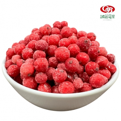 急速冷凍波蘭紅醋栗