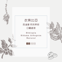 衣索比亞 西達摩 阿貝果那鎮 魯穆達莫村 日曬