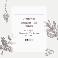 衣索比亞 耶加雪菲 孔加 日曬