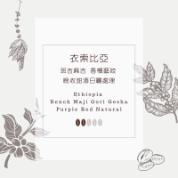 衣索比亞 班吉麻吉 香檳藝妓 晚收甜酒日曬