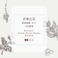 衣索比亞 潔蒂普鎮 沃卡村 荔枝處理場 水洗G1