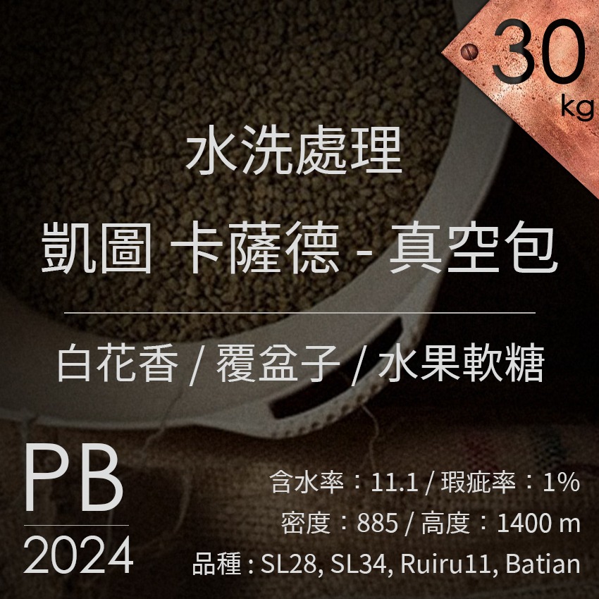 水洗｜凱圖 卡薩德 PB 多門 - 30kg