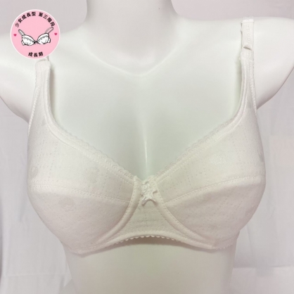 NO.980 少女成長型 第三階段 軟鋼圈棉材質內衣