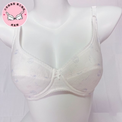 NO.980 少女成長型 第三階段 軟鋼圈棉材質內衣
