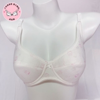 NO.980 少女成長型 第三階段 軟鋼圈棉材質內衣