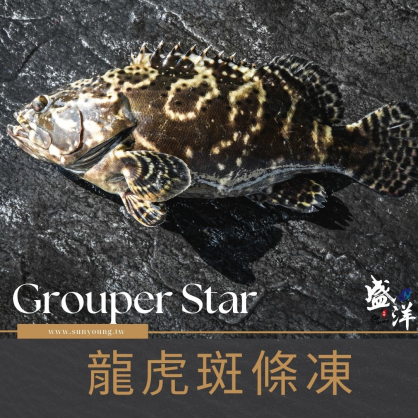 龍虎石斑魚整尾(500g/489起)