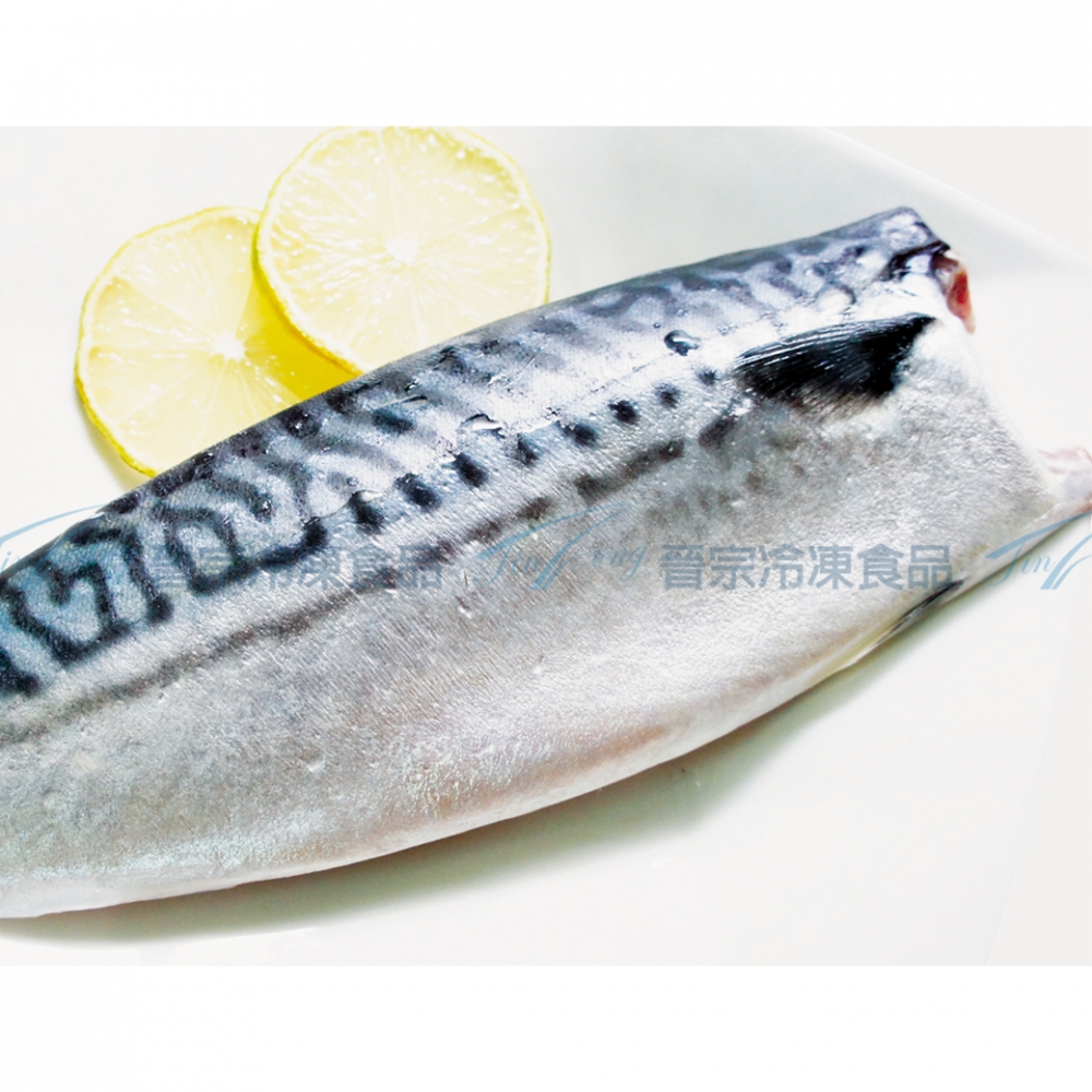 挪威鯖魚切片 帶中骨 5kg 件 晉宗冷凍食品企業有限公司