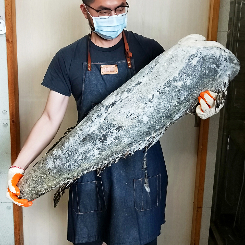 犬牙南極魚輪切 圓鱈 片 前段有肚 中段無肚 後段尾巴 300g 1 3kg 片 不定重 不定形 E073 盅龐水產 官網 網路訂購商城