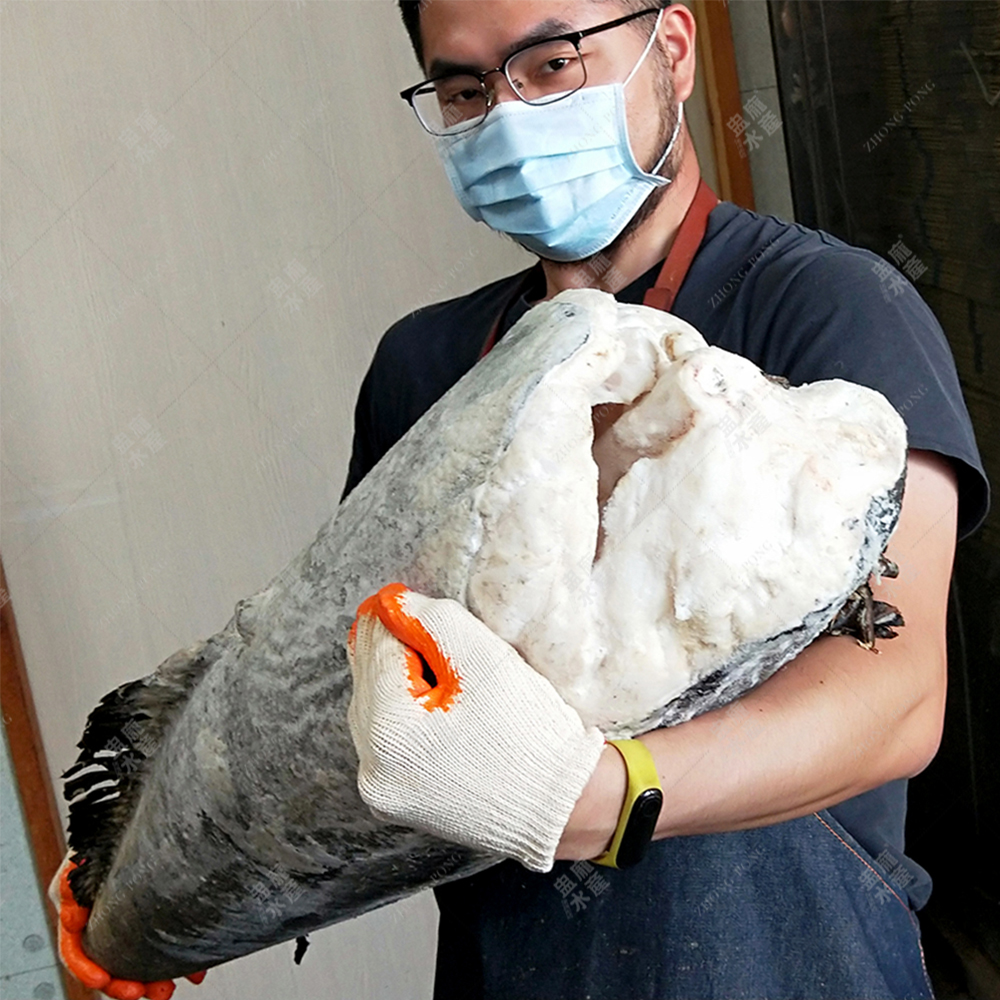 犬牙南極魚輪切 圓鱈 片 前段有肚 中段無肚 後段尾巴 300g 1 3kg 片 不定重 不定形 E073 盅龐水產 官網 網路訂購商城